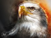 Production 100% néerlandaise! │ Peinture de diamants │ Aquarelle Aigle│ Taille 120 x 80 cm │ Forfait Peinture de diamants Adulte │ Couverture Complète │ Carré │ Complet │ Flitzz Peinture de diamants