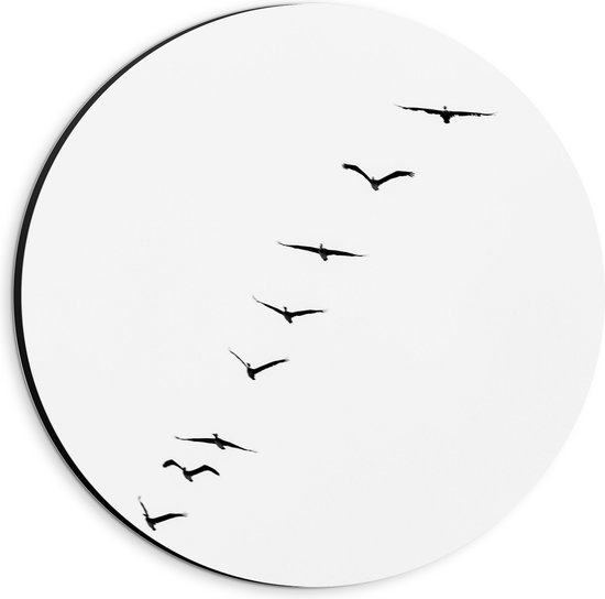 WallClassics - Dibond Muurcirkel - Lijn van Zwarte Vogels - 20x20 cm Foto op Aluminium Muurcirkel (met ophangsysteem)