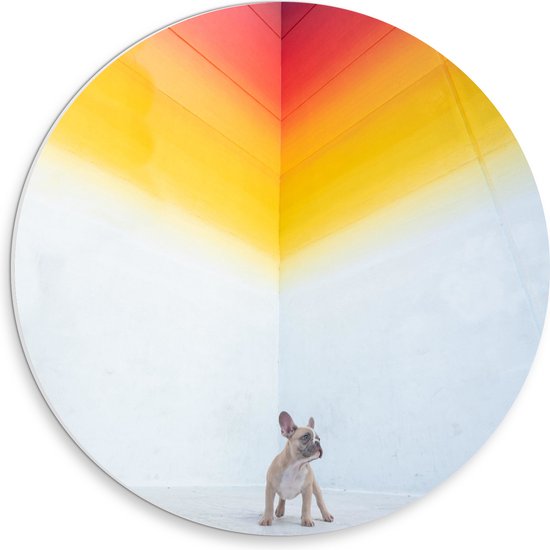 WallClassics - PVC Schuimplaat Muurcirkel - Puppy onder Regenboog Street Art - 30x30 cm Foto op Muurcirkel (met ophangsysteem)