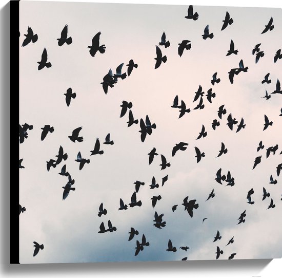 Canvas - Zwerm Vogels in Bewolkte Lucht - 60x60 cm Foto op Canvas Schilderij (Wanddecoratie op Canvas)