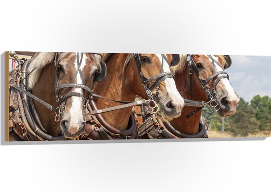 WallClassics - Hout - Drietal Belgische Karpaarden - 120x40 cm - 9 mm dik - Foto op Hout (Met Ophangsysteem)