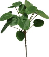 Greenmoods Kunstplanten - Kunstplanten - Kunst Pilea Pannenkoekplant - Zijde - 50 cm