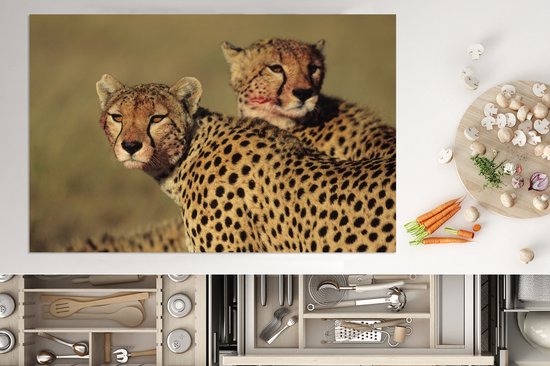KitchenYeah® Inductie beschermer 81.6x52.7 cm - Twee cheeta's op de savanne - Kookplaataccessoires - Afdekplaat voor kookplaat - Inductiebeschermer - Inductiemat - Inductieplaat mat
