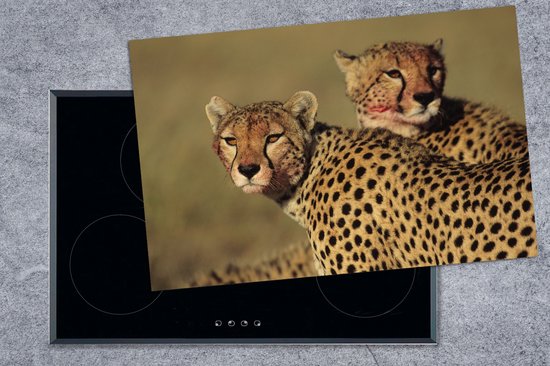 KitchenYeah® Inductie beschermer 81.6x52.7 cm - Twee cheeta's op de savanne - Kookplaataccessoires - Afdekplaat voor kookplaat - Inductiebeschermer - Inductiemat - Inductieplaat mat