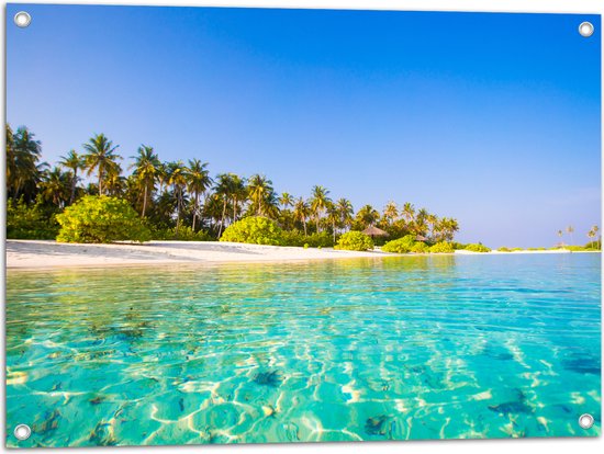 Tuinposter – Helderblauw Zeewater langs Eiland met Begroeiing - 80x60 cm Foto op Tuinposter (wanddecoratie voor buiten en binnen)