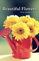 Picture Books With No Text for Seniors 2 - Beautiful Flowers