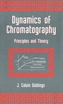 Dynamics of Chromatography