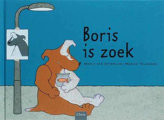 Cover van het boek 'Boris is zoek'