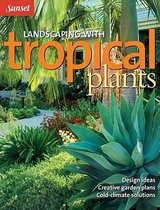 Sunset Landscaping With Tropical Plants