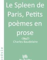 Le Spleen de Paris, Petits poèmes en prose