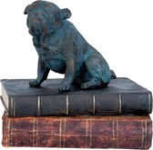 Decoratie hond - Buldog - op boeken - 18 x 14 x 17 cm
