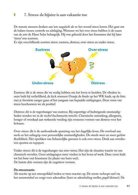Boekpagina met een diagram van een brein dat balanceert op een groene slang, met de tekst "7. Stress: de bijinjer is aan vakantie toe".