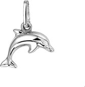Zilver Gerhodineerde Hanger dolfijn