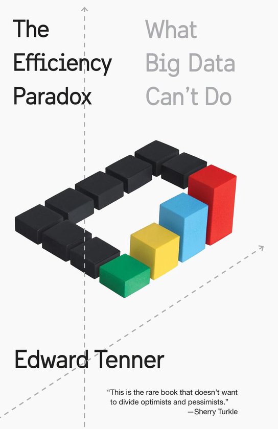 The Efficiency Paradox - cover