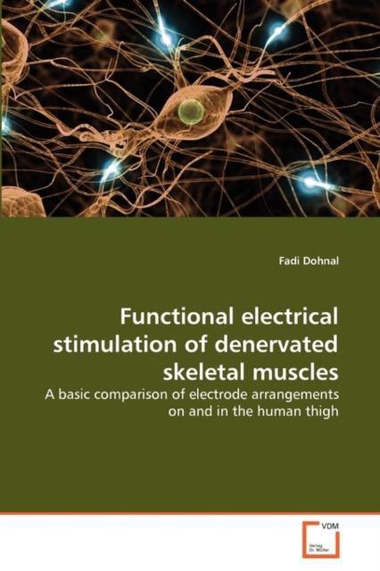 Functional electrical stimulation of denervated skeletal muscles