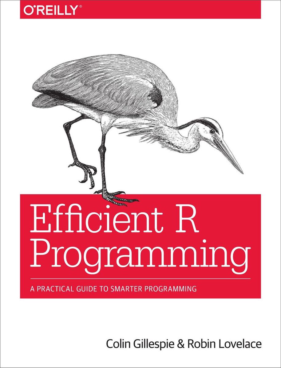 Omslag van Efficient R Programming