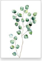 Textposters.com – Gunnii – botanisch poster - woonkamer - slaapkamer – muurdecoratie – 50x70 cm