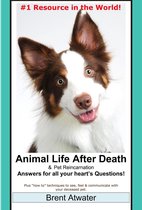 Animal Life after Death & Animal Reincarnation- Everything You Always wanted to Know! After-Death Do Animals Go to Heaven?