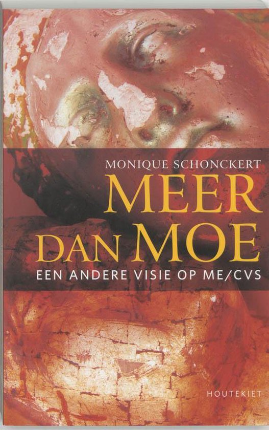 Cover van het boek 'Meer dan moe'