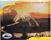 3D puzzel bouwpakket Dino Pteranodon + Plesiosaurus