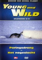 Young & Wild - Paringsdrang/Nageslacht