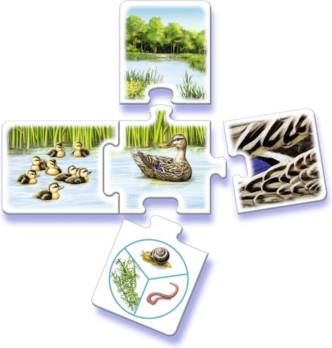 tiptoi® spel Al Mijn Dieren - Ravensburger - Leersysteem — afbeelding 4