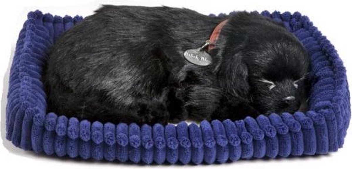 Pluche slapende Labrador knuffel zwart | bol.com