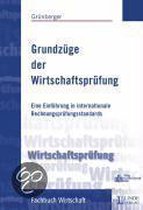 Grundzüge Der Wirtschaftsprüfung