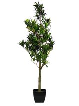 Europalms Kunstplant voor buiten en binnen - Podocarpus boom, 90cm