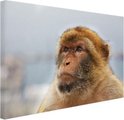PDP.ProductImage.Thumb.Image.srtText 11