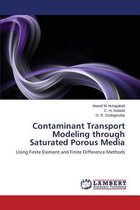 Contaminant Transport Modeling Through Saturated Porous Media