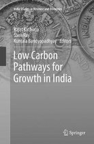 India Studies in Business and Economics- Low Carbon Pathways for Growth in India