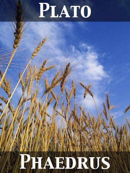 Gouden graanhalmen tegen een helderblauwe lucht met witte wolken. Tekst: PLATO PHAEDRUS.