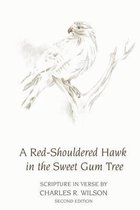 A Red-Shouldered Hawk In The Sweet Gum Tree