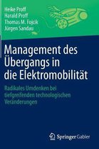 Management des Uebergangs in die Elektromobilitaet