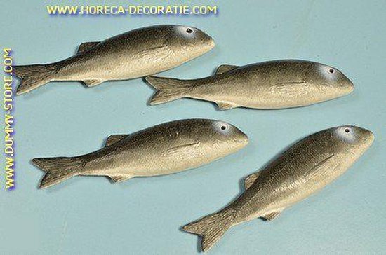 Hareng, 4 pièces - 215x55 mm - Mannequin de poisson