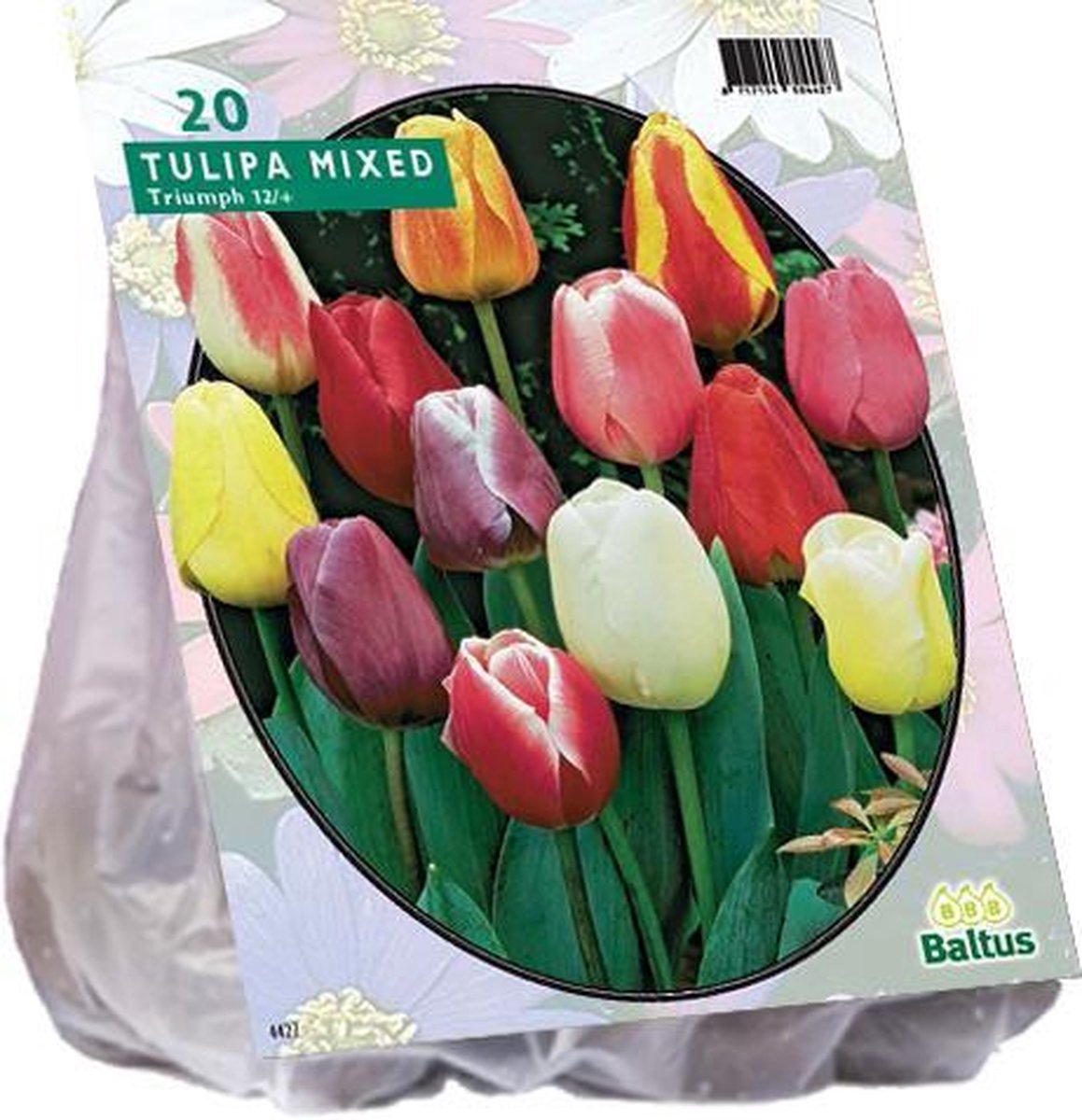 Tulpenbol Triumph - Mix - 20 bloembollen