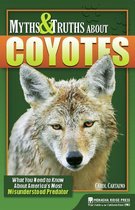 Myths & Truths About Coyotes