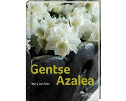 Gentse Azalea