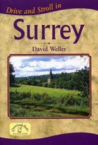 Drive and Stroll in Surrey