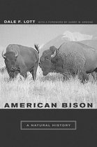 American Bison