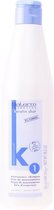 MULTI BUNDEL 2 stuks Salerm Cosmetics Karatin Shot Maintenance Shampoo 500ml