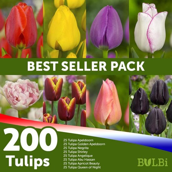 straal Slechthorend juni Tulpen Bestseller Mix bloembollen - 200 stuks | bol.com