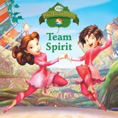 Disney Storybook (eBook) - Disney Fairies: Team Spirit