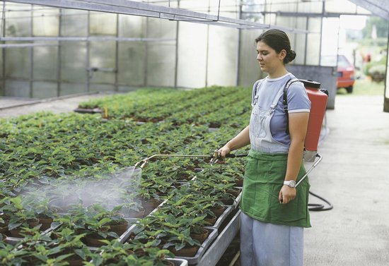 Rugspuit Birchmeier Iris 15 liter van Merkloos	 — afbeelding 2