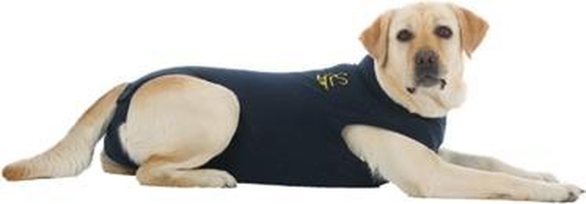 Medical Pet Shirt Hond - Blauw XXXS - Medical Pet Shirt