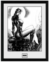 DC COMICS - Collector Print 30X40 - Cat Woman
