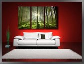 Canvas Schilderijen (Wanddecoratie woonkamer / slaapkamer) - Schilderij Bos Groen Natuur - 160 x 90 cm 3-Luik