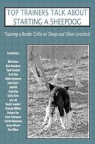 Top Trainers Talk About Starting a Sheepdog