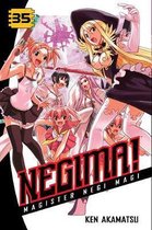 Negima 35